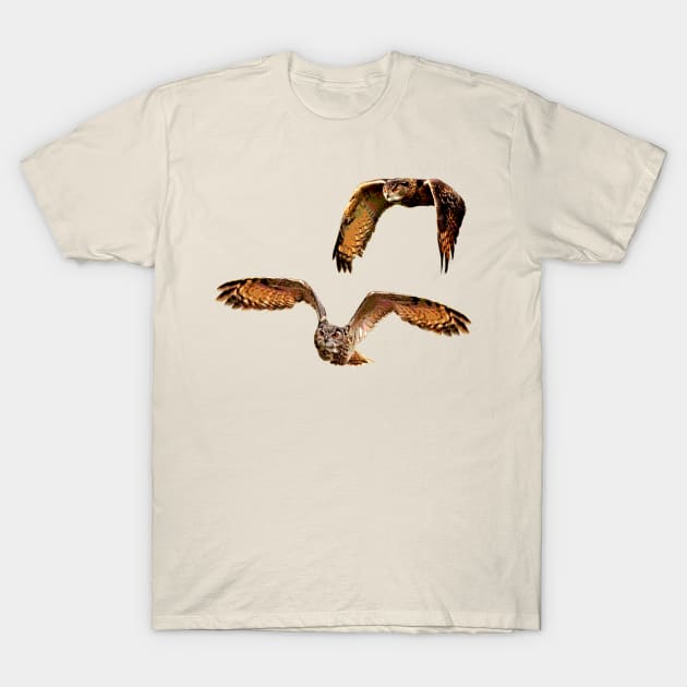 Owls in Flight Eurasian Owl T-Shirt by TheStuffInBetween